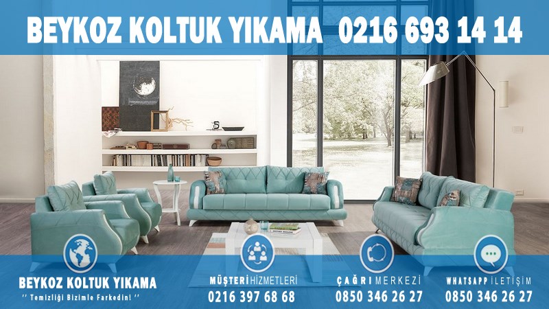 Paşamandıra Profesyonel Koltuk Yıkama