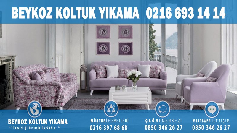 Örnekköy Profesyonel Koltuk Yıkama
