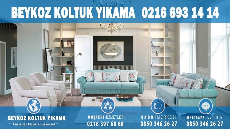 Bozhane Profesyonel Koltuk Yıkama