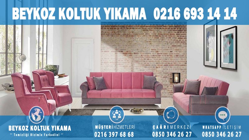 Akbaba Profesyonel Koltuk Yıkama