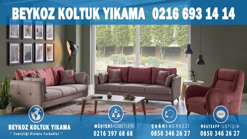 Acarlar Profesyonel Koltuk Yıkama