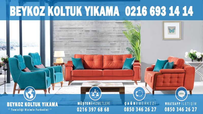 Çiftlik Profesyonel Koltuk Yıkama