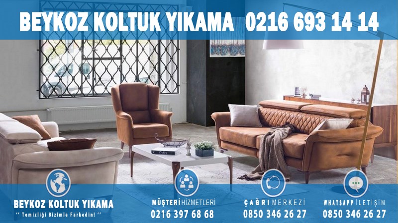 Göllü Profesyonel Koltuk Yıkama