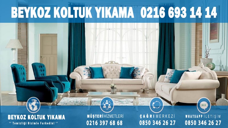 Elmalı Profesyonel Koltuk Yıkama