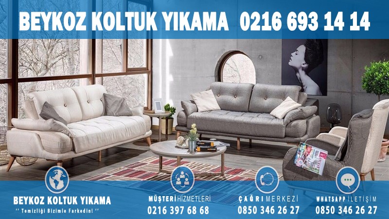 Çiğdem Profesyonel Koltuk Yıkama