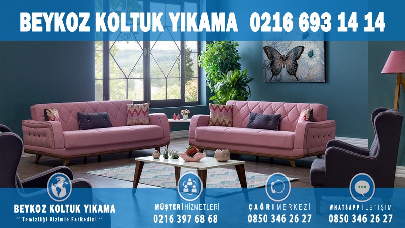 Riva Profesyonel Koltuk Yıkama